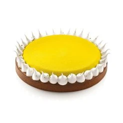 Alternative view of Kit Moule Silicone 1 Tarte Ø 230mm Silikomart Professional